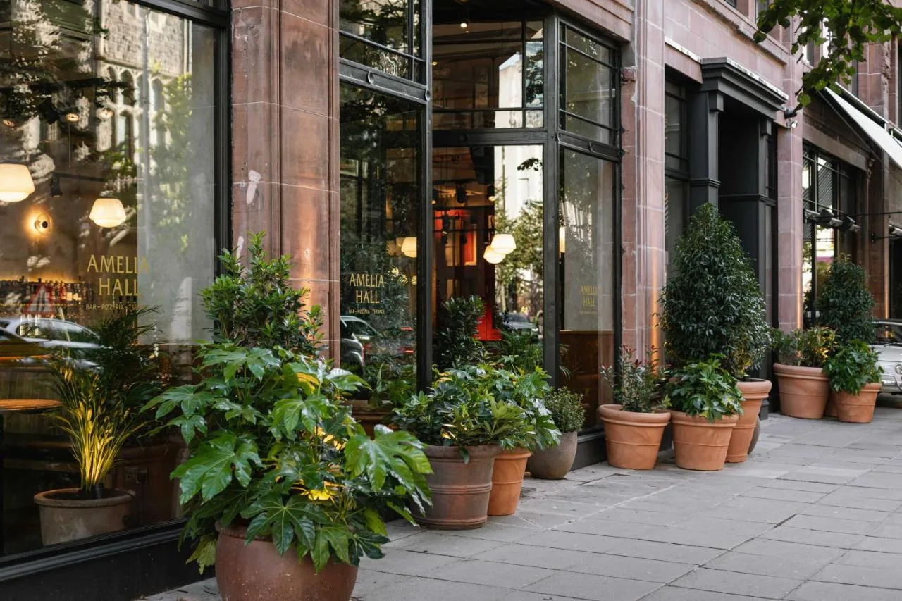 Potted plants outside The Flint Hotel entrance on Howard Street, Belfast